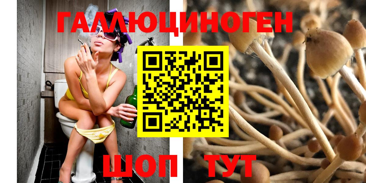 Кинешма  Галлюциногенные грибы Psilocybine cubensis  Вход с VPN 